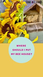 Now that your Kind Bee Kit is here, where should your new buddies live? Our advice: When your bees are still cocoons, keep them out of the direct sun. Once they've hatched, they love the sun! Find a permanent spot for your bee house within 300 feet of the flowers + plants you want pollinated. Your bees need to eat, don’t make them work too hard to find food! : @apumpkinrose | Kind Bee Farms | Facebook