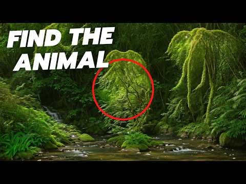 Find the Hidden Animal in the Optical Illusion