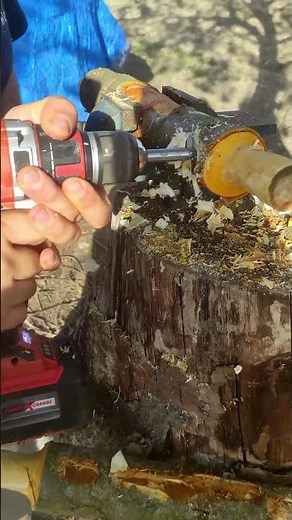 Tenon Cutter Setup and Safety Guide for DIY Woodworkers