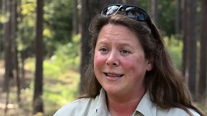 Video of Interview with a USFS wildlife biologist | Britannica