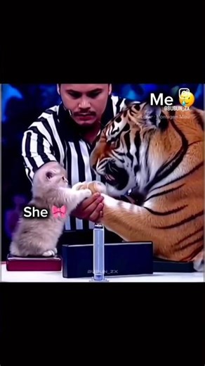 Boyfriend vs girlfriend 😍 #trendingshorts #funny #trending #ytshorts #ytviral