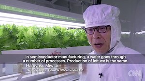 Old factories turned into vegetable farms