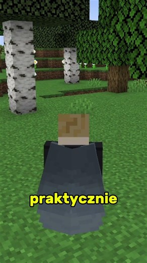 Elytra