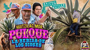 Nos lanzamos a Huitzilac Morelos a probar el Pulque y el Aguamiel 😍🥴🤤 que es una tradición en la familia Flores, pero tambien para conocer un poco del proceso de la Bebida de los Dioses... | El Chismoso de todo Morelos