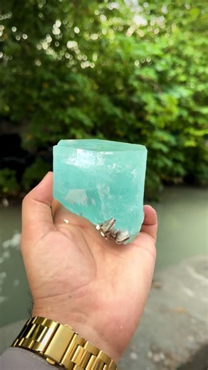 Sunshine gems collection on TikTok