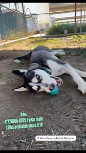 1.7K views · 56 reactions | @lisacavazosrealtor - "I first noticed...