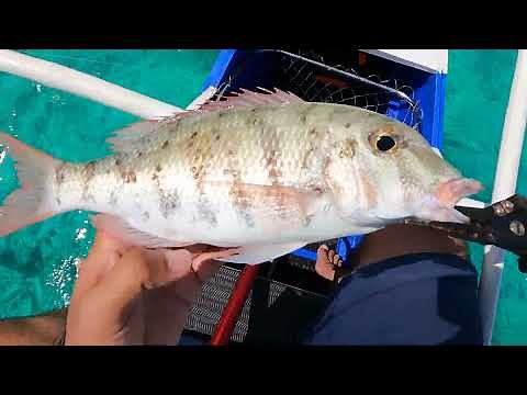 Catching our own FISH DINNER | Island Fishing in the PHILIPPINES