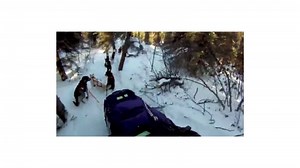Part 2: Rookie crashes on Iditarod trail