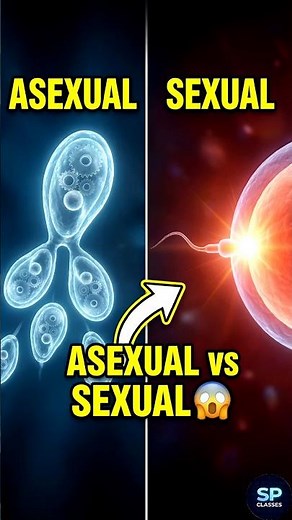 Asexual vs Sexual Reproduction | Class 10 Biology Explained in 1 Minute #shorts #Biology #neet #gk