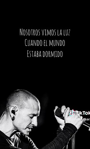 #onemorelight #linkinpark #chesterbennington #onemorelightlinkinpark #chesterbenningtonlinkinpark #linkinparkonemorelight #traduccion #traducciones #lyrics #lyricsvideo #letras #letrasdecanciones #daniellesharp #fypシ