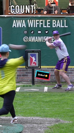 Do you Agree with the Batter?🤔 #dingersornothing #wiffleball #baseball #foryou