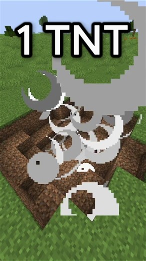 Minecraft 1 TNT Explosion Test #shorts