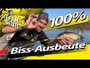 How to CATCH every catfish | No missed bites with the catfish hair rig by Stefan Seuß | Catfish f...