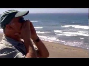 Castaway 2 The Movie