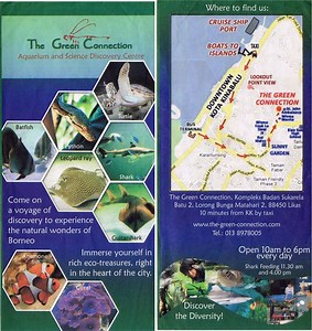 The Green Connection - Alchetron, The Free Social Encyclopedia