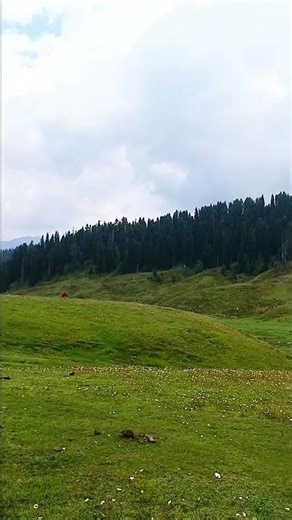 nature ##beautiful nasheed #nature