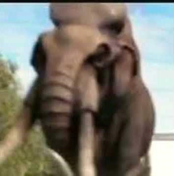 (Indiana Jones And The Legend Of The Mammoth 1962) The Mammoth's Trumpet 🐘 🔊