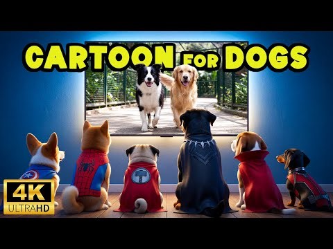 Dog Cartoon: Top Entertaining Cartoons for Dog when home alone 🐾💗 Best Cartoons for Dog to watch