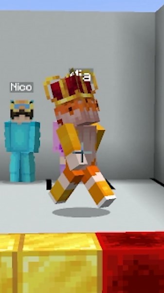 Minecraft COLOR MATCH! 5