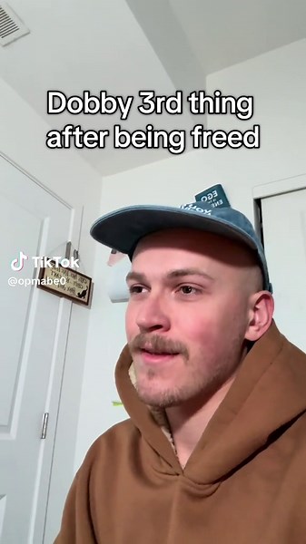 Dobby's Journey After Freedom in Harry Potter