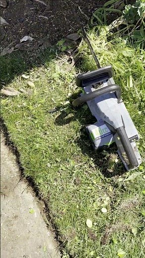 Battery Powered Ego Hedge Trimmer and Saw Review 5 1 2026