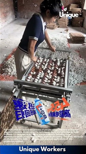 Silkworm cocoon processing machine: people processing silkworm cocoons