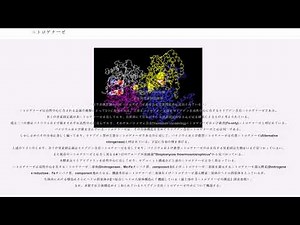 ニトロゲナーゼ