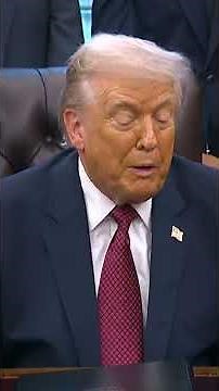 Trump says Somalis have 'destroyed Minnesota'