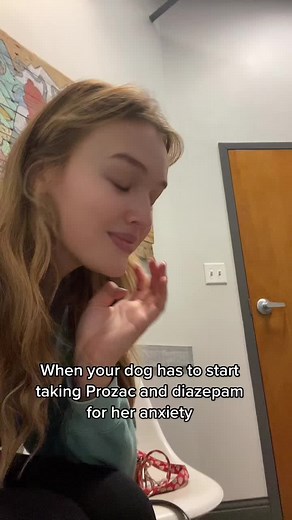 Managing Your Anxious Dog: Tips and Tricks