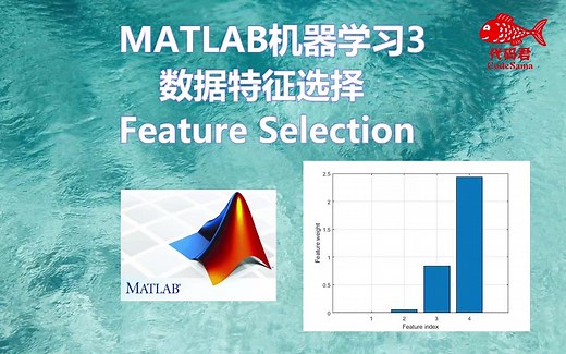 MATLAB机器学习3 特征选择 Feature Seleciton数据降维