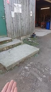 384K views · 7.9K reactions | #riotherobin flying over for some food in slow motion. Just listen to the sound of his wings as he hovers over my hand 李 | The Robin Whisperer | Facebook