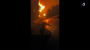 🔥 En août 2021, le massif des Maures est ravagé par un gigantesque incendie. Trois ans après, les blessures n’ont toujours pas cicatrisé… 🎥 "L’incendie du siècle", un film inédit de Claude Ardid et Nadege Hbt, disponible sur france.tv 👉 https://france3-regions.francetvinfo.fr/provence-alpes-cote-d-azur/var/video-en-5-mn-c-etait-l-enfer-le-documentaire-l-incendie-du-siecle-revient-sur-le-gigantesque-feu-du-massif-des-maures-en-2021-2982554.html | France 3 Provence-Alpes