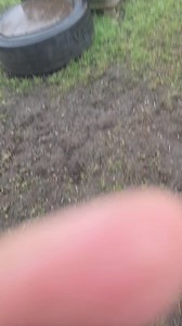 Je pense qu’il est content de me voir. 😁❤️ | Make A Better Dog. Je suis un chien de refuge