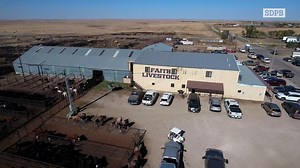 25K views · 198 reactions | Faith, South Dakota is in the heart of cattle country - and once a year, ranchers converge on the sale barn to cash in on their crop. Every mid-October is the BIG week, and that's where we meet the man who oversees 10,000 head a day move in and out of their building. | SDPB | Facebook