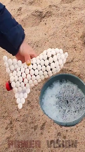 Coke Mentos Rocket = ??? #cocacola #mentos #elephanttoothpaste