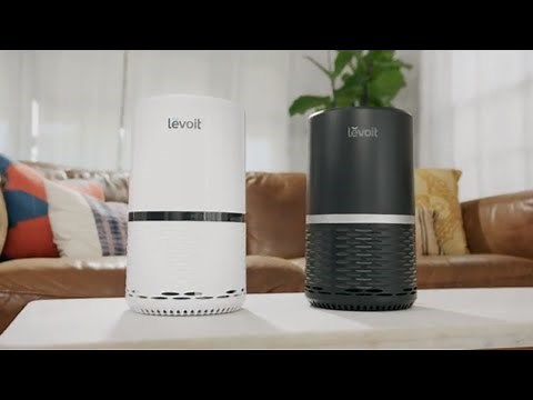Levoit True HEPA Air Purifier (LV-H132)