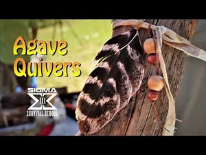 Primitive Arrow Quiver