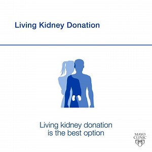Did you know 97 people join the kidney transplant wait list every day? There are not enough deceased donor kidneys to fill the need. Learn more about becoming a living donor. https://mayocl.in/2p5e3dX | Mayo Clinic