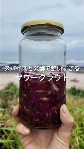これ知らないと損！最強の発酵キャベツ、ザワークラウトの作り方