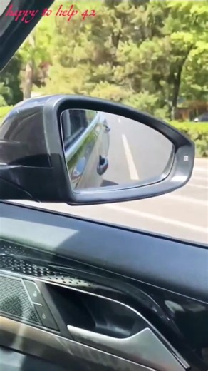 Adjust your side mirrors for the best driving view !#driving#knowledge#fpy#tips #viral#youtubeshorts