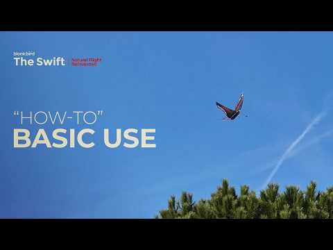 How to basics | The Swift outdoor flight at 15 km/h wind | Bionic Bird