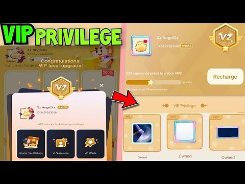 How To Unlock *VIP PRIVILEGE*!! In Blockman Go