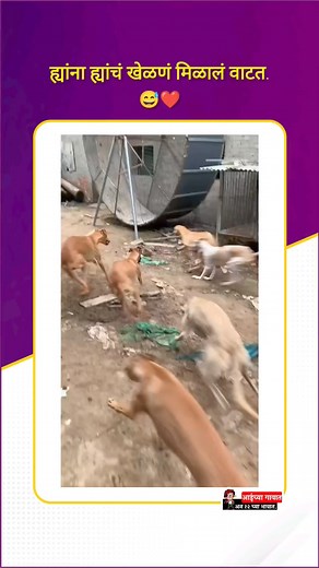 840K views · 3.4K reactions |  | Marathi धिंगाना | Facebook