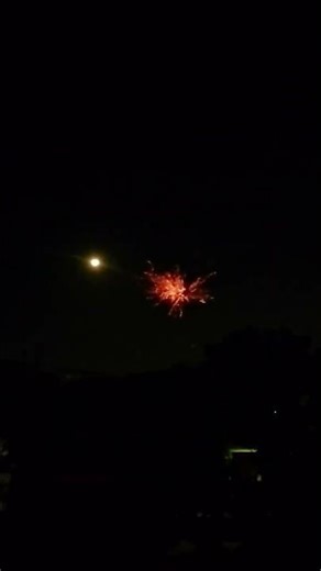 ₹10 Vs ₹3000 Skyshots #fireworks #firecracker #skyshot #crackers #fireshot #fireshortvideo #diwali