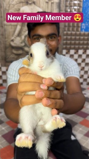 New Family Member ne gadbad kar di 😱 | #minivlog #dailyminivlog #minivlogseries #shorts