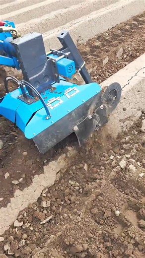 174/ I Found The Best Asian Farming Style🚜 #farmlife #farmingtechnology2025 #agriculture #fruitharvest | Lily Farm Today