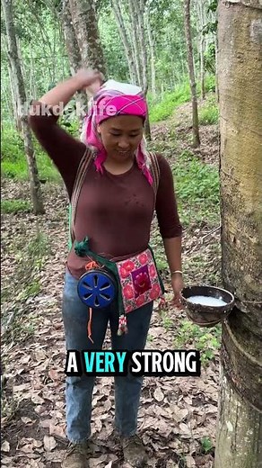 FROM TREE SAP TO WOOD GLUE – NATURE’S INCREDIBLE ADHESIVE