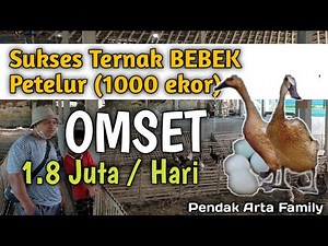 successful farming of 1000 laying ducks, capital and profit analysis