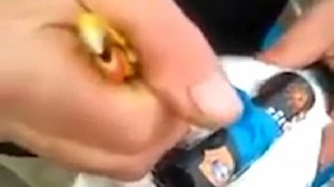 Fisherman film themselves strapping firework to seagull's neck