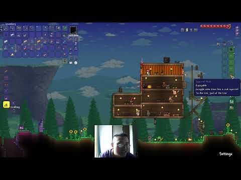 terraria beginner tutorials: How to use squirrel hook, no one tell you this